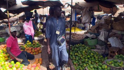 Sénégal: début du retrait des rues des enfants mendiants