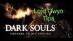 Dark Souls Prepare to Die Edition Lord Gwyn tips i had to find out the hard way