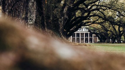 Mafia III - Death Suits You Trailer