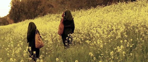 A Tale of Love and Darkness Official Trailer 1 (2016)