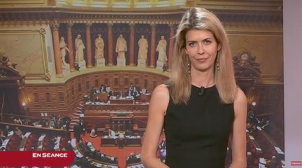 Révision constitutionnelle - Les matins du Sénat (22/07/2016)