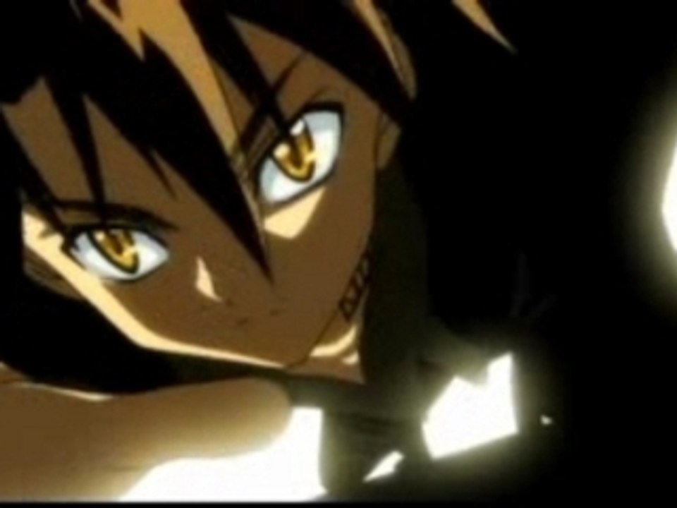 Black cat pv