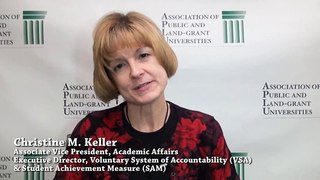 2013 APLU Annual Report: Christine M. Keller