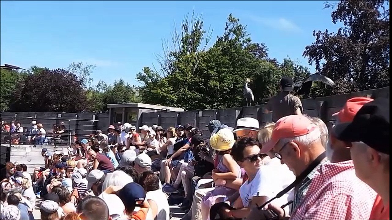 N°2 - 4 juillet 2016 Le spectacle des oiseaux villars les dombes