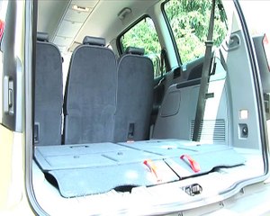 Ford S-Max & Galaxy II : "Coup double"