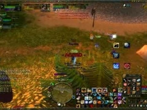 Hunt lvl 40 vs Rogue lvl 46