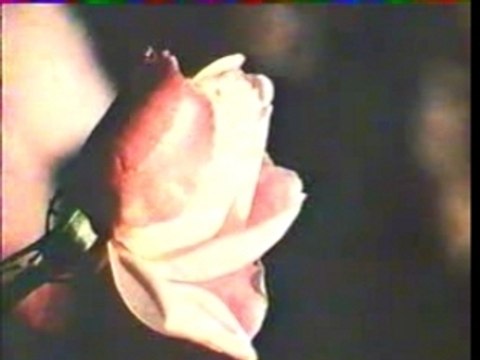 Serge Gainsbourg - La Bises Aux Hippies