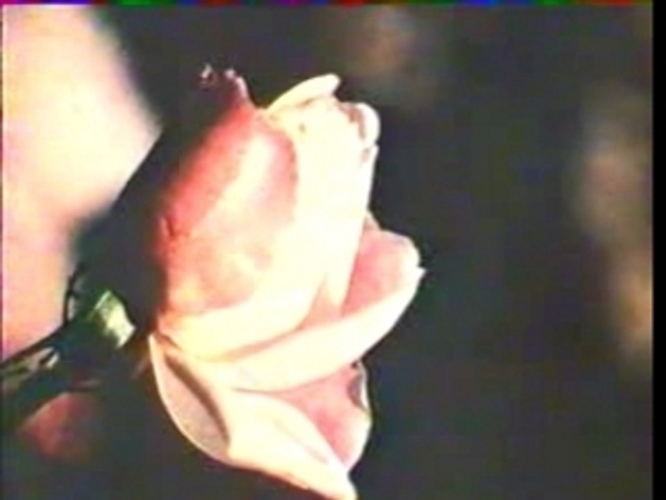 Serge Gainsbourg  - La Bises Aux Hippies