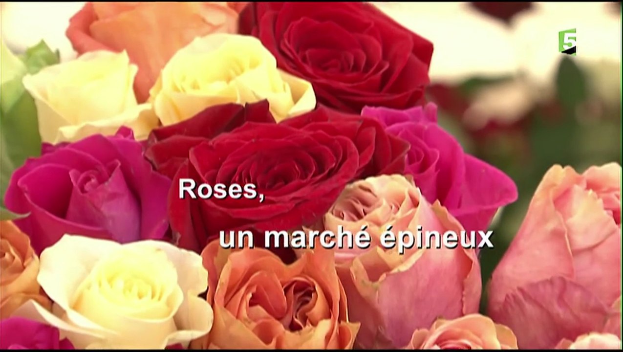 Roses, Un Marché Epineux [HD]