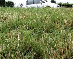 Essai Renault Vel Satis restylée