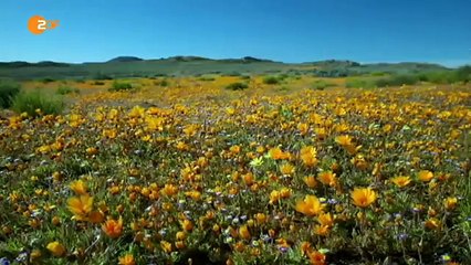 Terra X -  Die Magie der Farben - Teil 1