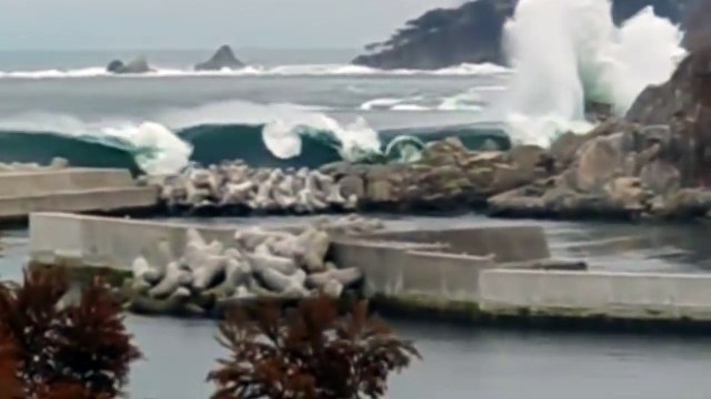 TOWERING TSUNAMI WAVE CRASHES ASHORE!!! - JAPAN TSUNAMI 2011