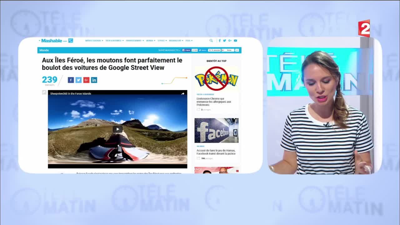 Aux îles Féroé, des moutons font le boulot de Google Street View ! - 2016/07/23