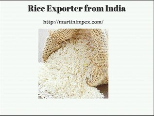 Wholesale Basmati Rice India