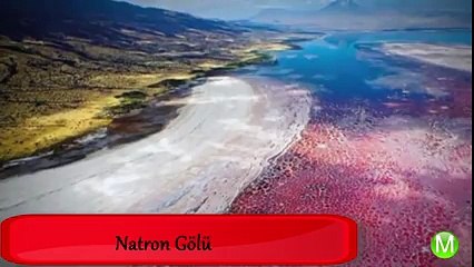 Dünya Üzerindeki EN KORKUNÇ 5 Mekan