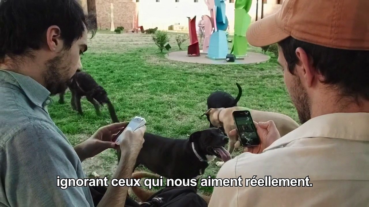 Aï aï aï