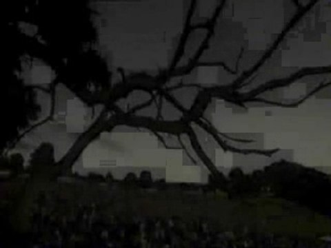 Red Hot Chili Peppers - Intro (live at Slane Castle 2003)