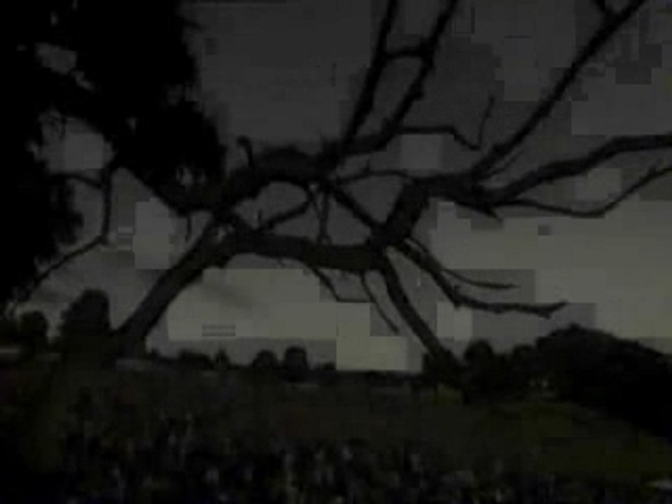 Red Hot Chili Peppers - Intro (live at Slane Castle 2003)