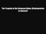 READ book The Tragedy of the European Union: Disintegration or Revival?  DOWNLOAD ONLINE