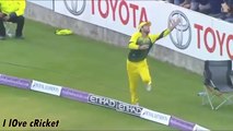 Best Cricket catches on boundary in cricket history .....BEAUTY OF CRICKET