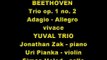 BEETHOVEN: Piano trio op. 1 no. 2, Adagio - Allegro Vivace