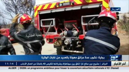 بجاية والطارف  /نشوب عدة حرائق مهولة بالعديد من غابات الولايتين