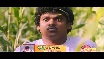 Bengal Tiger (2015) 720p HDTV x264 [Dual =-_Segment_0_mpeg4