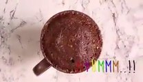 How To Bake Chocolate Cake In A Mug Using Microwave Oven