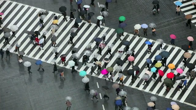 Trusted Icad Overseas Careers Reviews