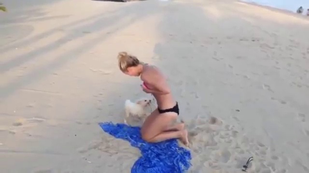 Cão TROLL faz de tudo o que pode para deixar mulher sem biquine