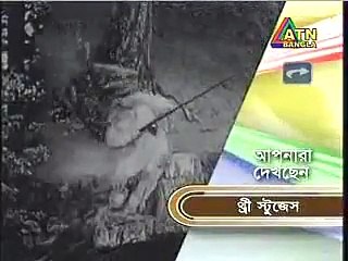 Bangla Three Stooges Funny video হাসতে হাসতে পেটব্যাথা