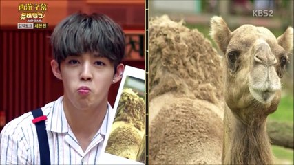 [中字] 160720 Seventeen (세븐틴) MV Bank 2/2