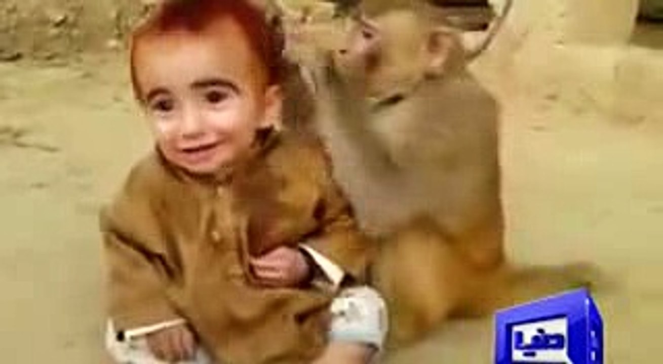 Heart-touching friendship between monkey, human kid