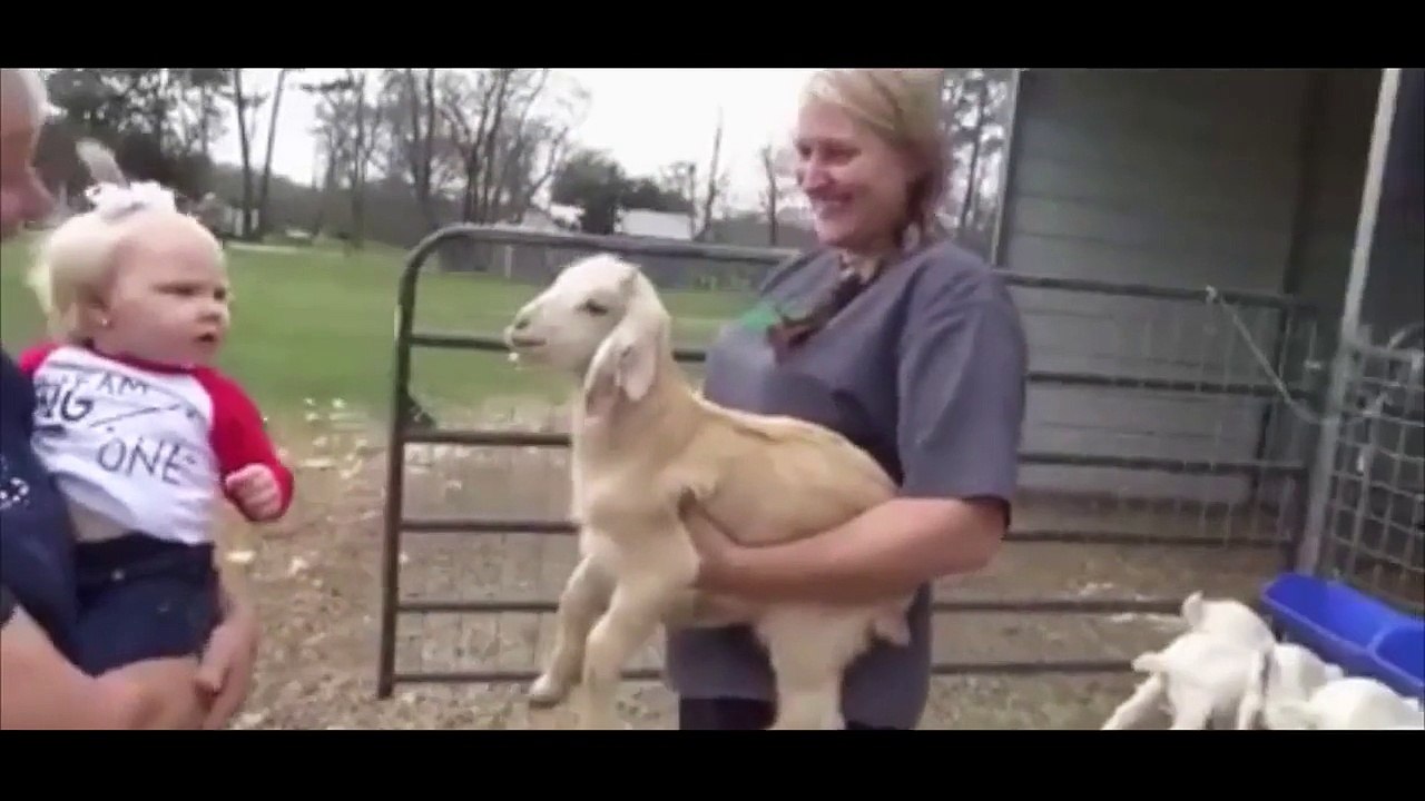Trop mignon