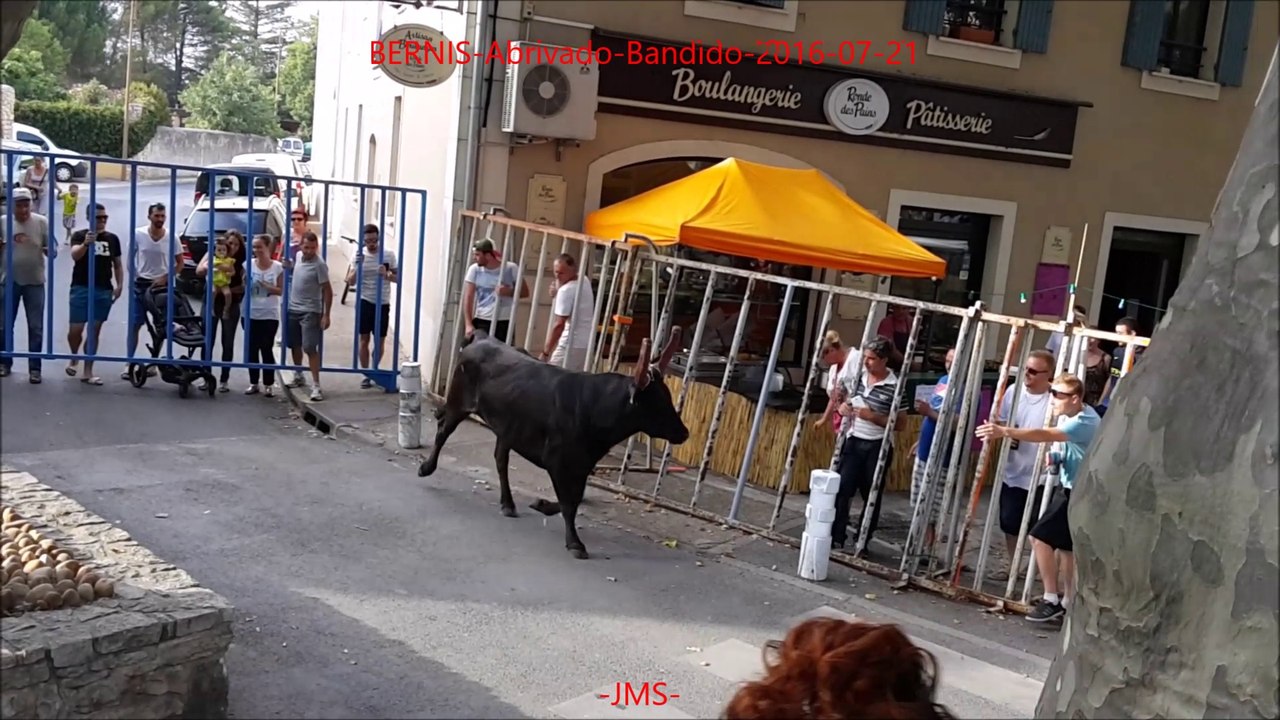 BERNIS-Abrivado-Bandido-2016-07-21