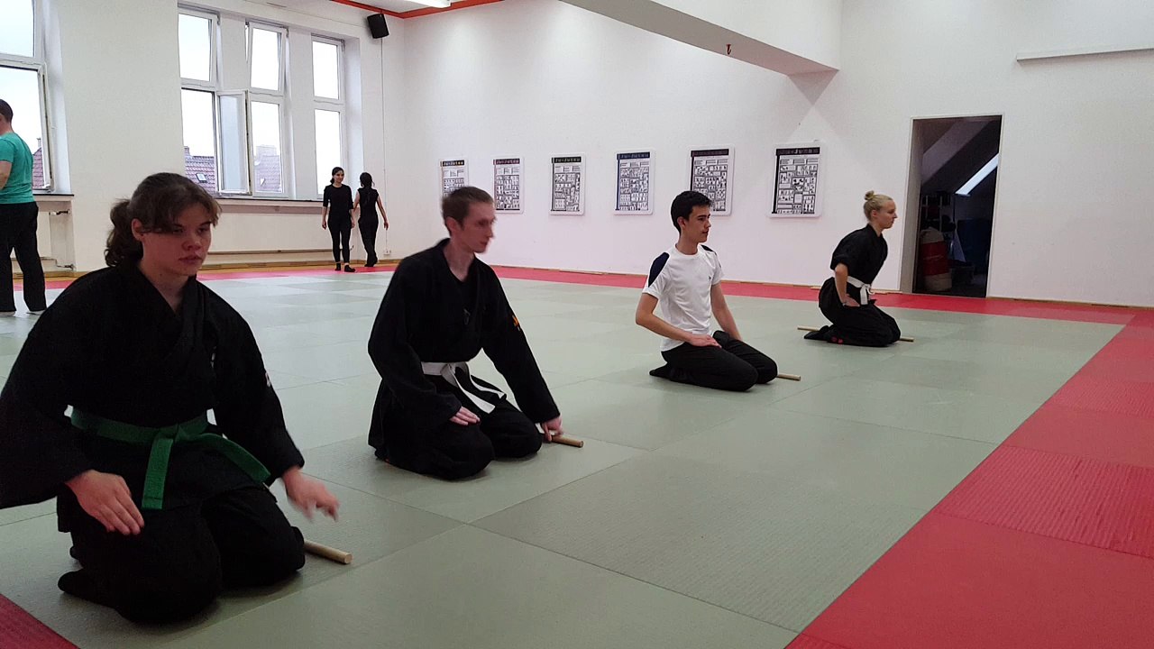 Ninjutsu Fight Bremen Stocktechniken