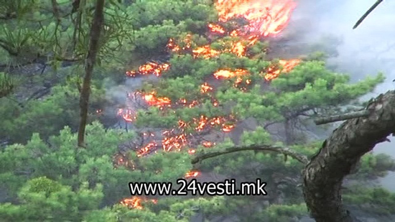 VANE STRUMICA 4 GODINI PO GOLEMITE POZARI 23 07