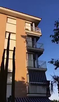 A bout de force, ce chien saute du balcon où ses proprio l’avaient laissé en plein soleil