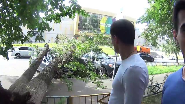 РАЗБИЛ УРАЛ. ДЕРЕВО УПАЛО НА МАШИНУ. Мой День Рождения!