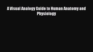 different  A Visual Analogy Guide to Human Anatomy and Physiology