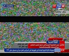 بالفيديو.. وزير الخارجية الموريتانى: الاجتماع التحضيرى للقمة يأتى فى ظل أوضاع خاصة