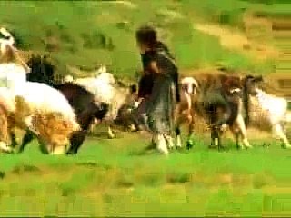 Jiyo Mere Janbaaz 🇵🇰 - Honoring Our Brave Pakistan Army