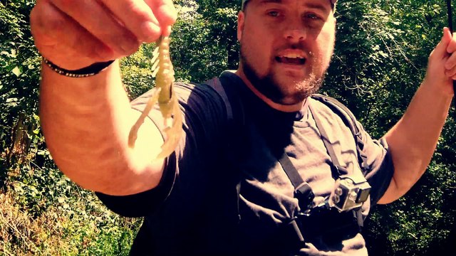 CREEK FISHING HOT ACTION | BIGDIDDY BAITS | FISHING VLOG #9