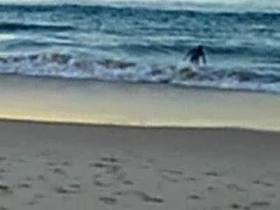1er jour de surf au lever du soleil pour Philippe
