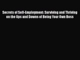 READ book  Secrets of Self-Employment: Surviving and Thriving on the Ups and Downs of Being