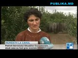 19 gospodării din satul Zârneşti, raionul Cahul, inundate din cauza ploilor