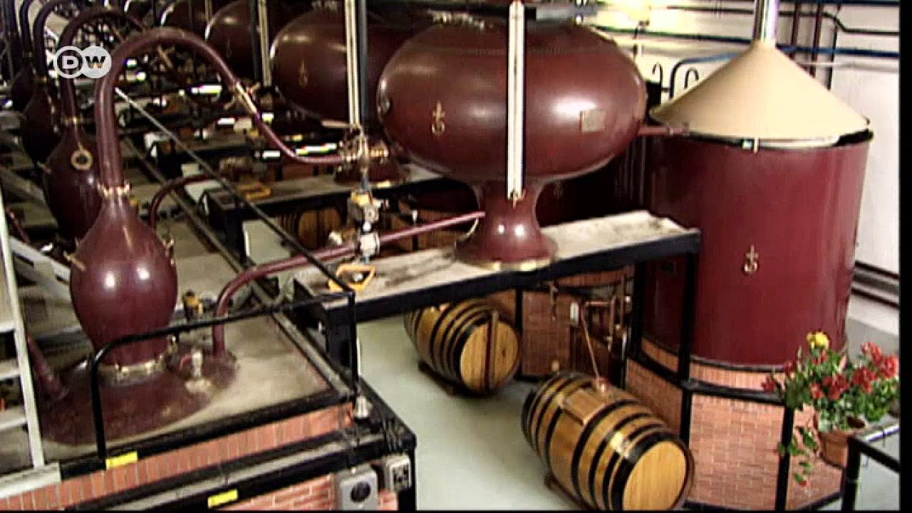 High Five: 5 Orte, die betrunken machen können | Euromaxx