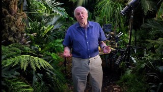 Micro.Monsters.With.David.Attenborough02