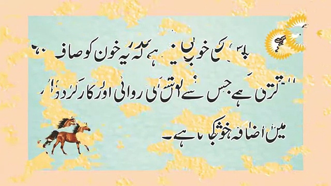 Chanay ki Dal Ghoray ki Taqat Day. Mardana Taqat Barahay. چنے کی دال. Video in Urdu_Hindi.