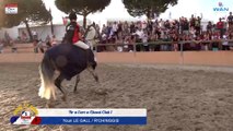 Tir à l'arc à Cheval Club 1